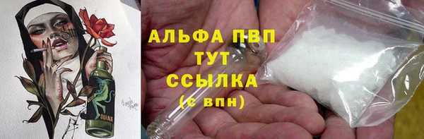 гашик Тавда