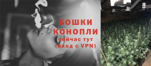 эйфоретик Сясьстрой