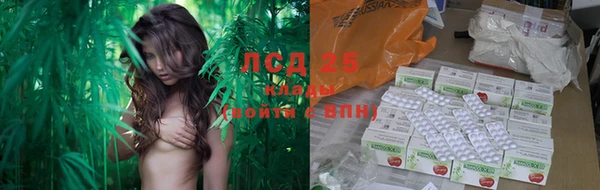 эйфоретик Сясьстрой