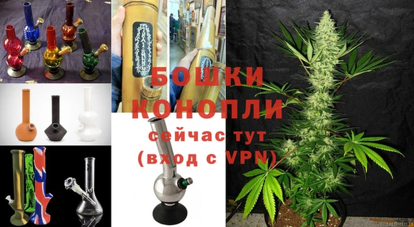 гашик Тавда