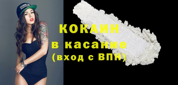 гашик Тавда
