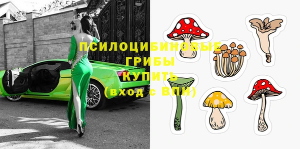 гашик Тавда