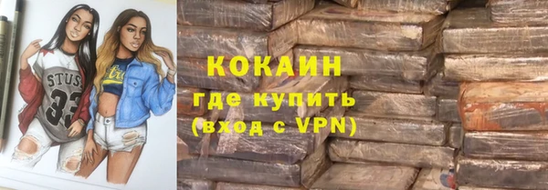 гашик Тавда
