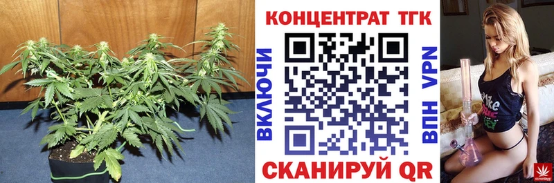 Дистиллят ТГК концентрат  Купить закладки  Петровск-Забайкальский 