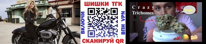 Марихуана Bruce Banner  Купить  Петровск-Забайкальский 